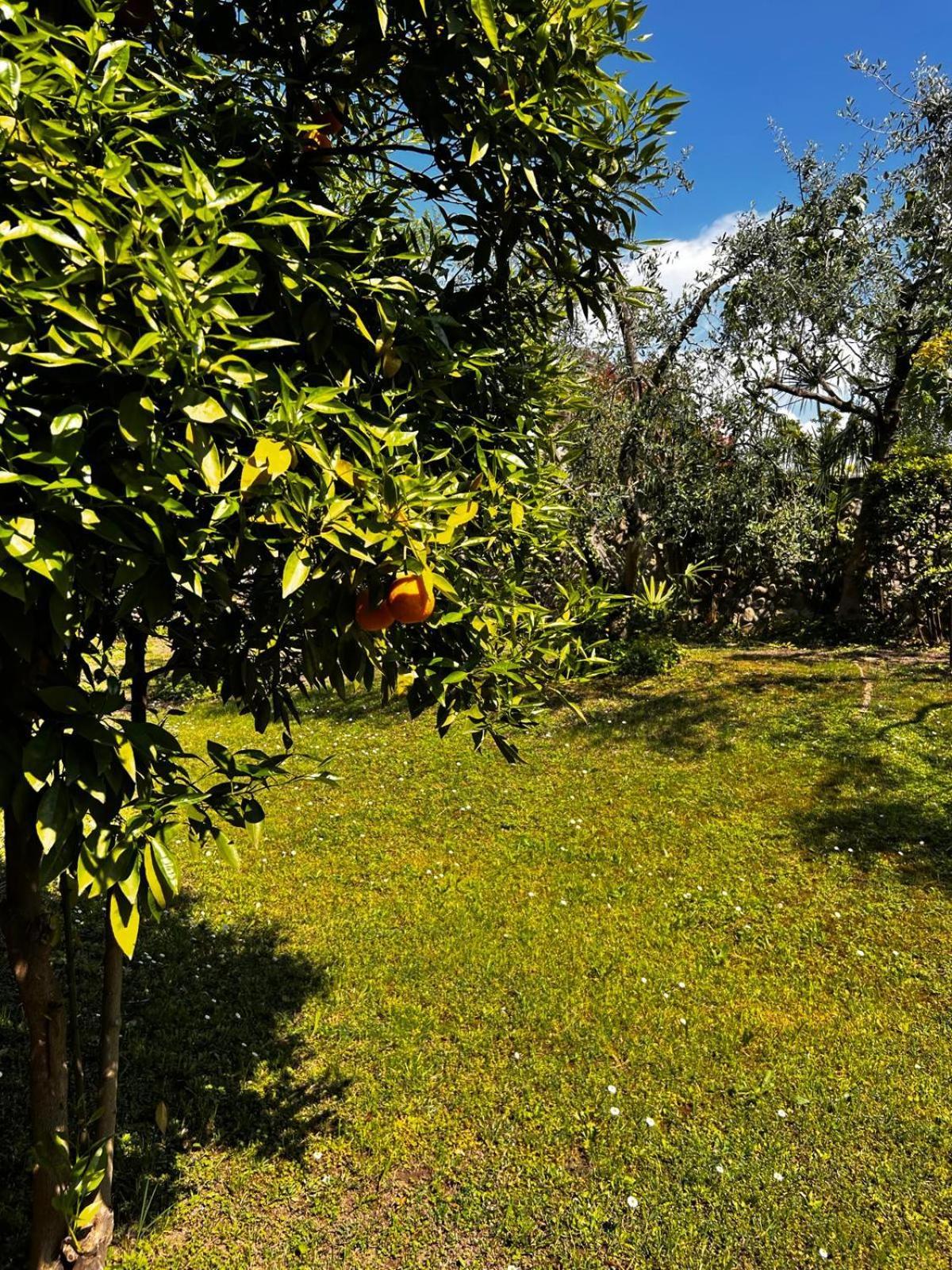 Welcome Traveller Laurence Garden Apartment Appartamento